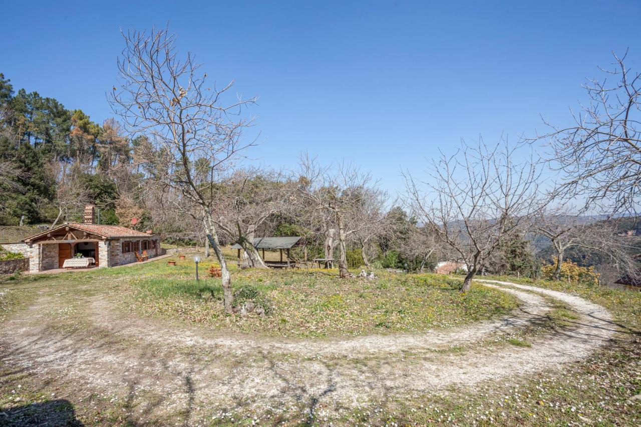 Casa Nel Bosco Villa Sassetta Exterior photo